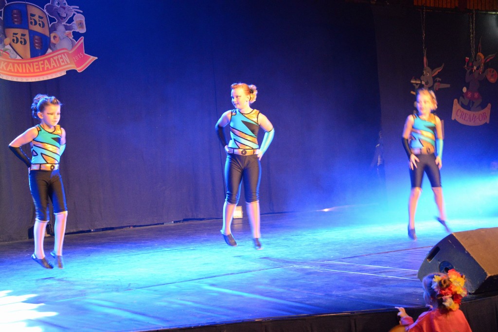 ../Images/Dansmarieke festival 2015 355.jpg